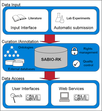 a picture about Sabo-Rk's Workflow